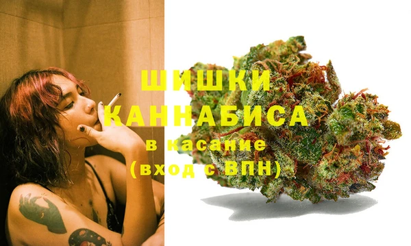 амф Зеленокумск