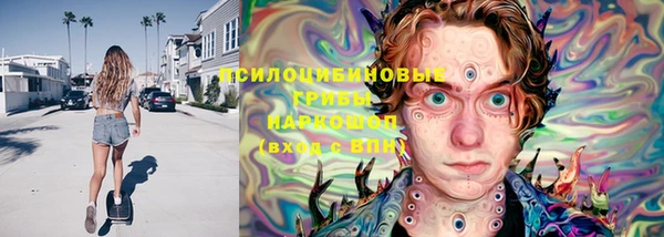 амф Зеленокумск