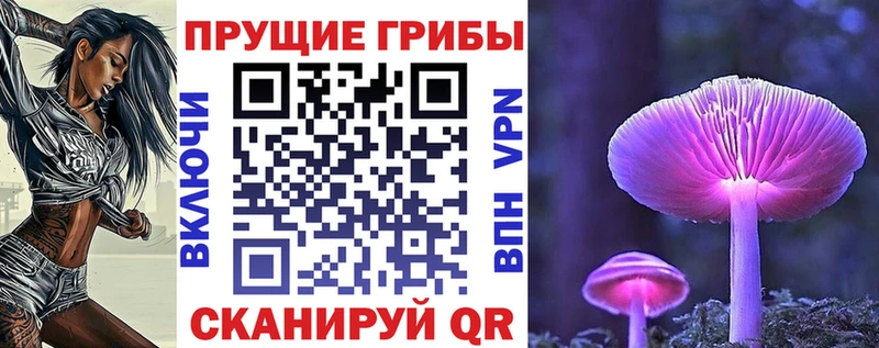 Галлюциногенные грибы Psilocybine cubensis  мориарти официальный сайт  Мариинск 